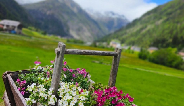 Appartements Alpengarten
