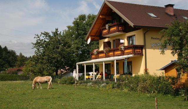 Bauernhof-Pension Puschnikhof