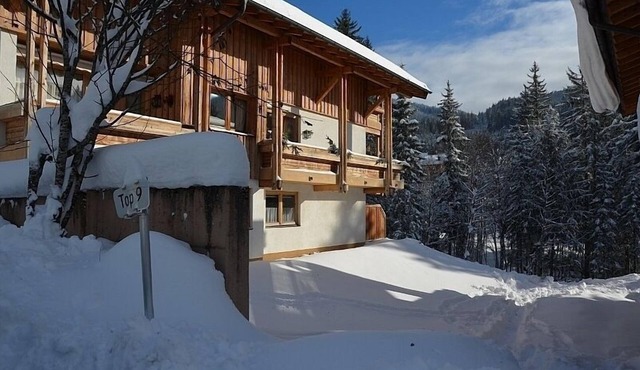 Beautiful Apartment 5 minutes walk to ski lift