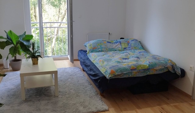 Beautiful Large Apartment in Leibnitz Center