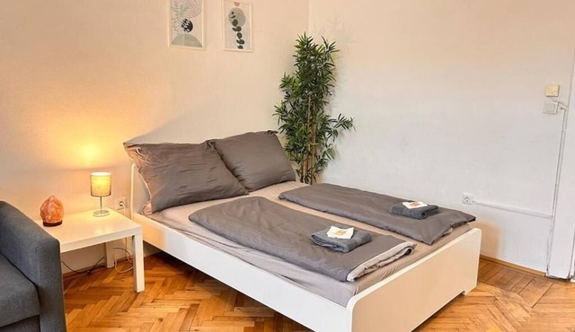Bright & Cozy Apartment in City Center Vienna