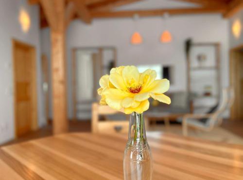 Burgenland Chalet