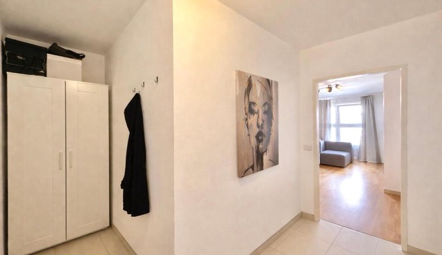 Central Vienna Apartment