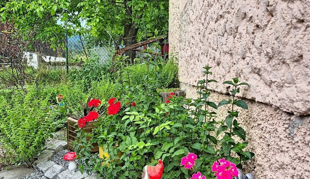 Cosy apartment for 3 guests with TV, terrace and pets allowed