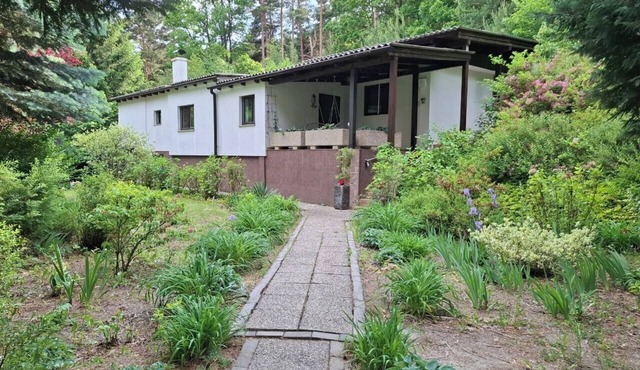 Cozy Cottage - dreaming in the forest