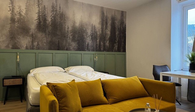 Faraway Homes Studio Semmering #104