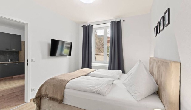 FarawayHomes Studio Leoben #P83