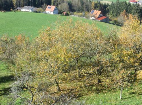 Ferienwohnungen Bauernhof Schilcher