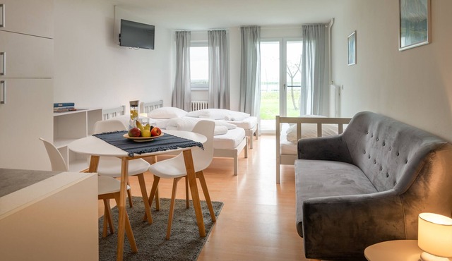 Ferienwohnung/app. für 2 Gäste mit 38m² in Maishofen