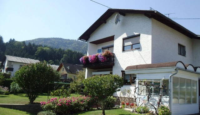 Flat "Draublick" with mountain view