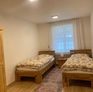Hüttau Apartment 1