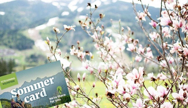 Hauser Kaibling Garden Lodge - Erika Guesthouse by myNests