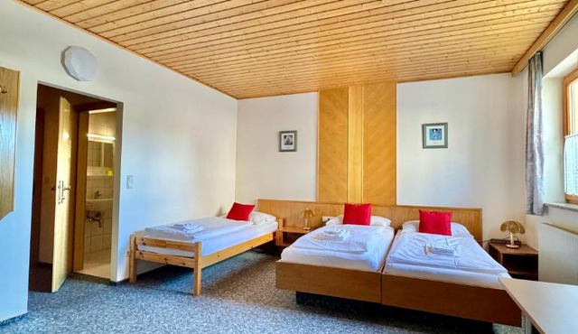 Hotel die Traube