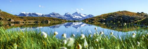 Hotel-Garni Jakober - B&B und Appartements