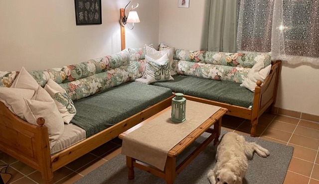 Hundefreundliche Bergwohnung neben der Skipiste - Mittelstation Skigebiet Gerlitzen