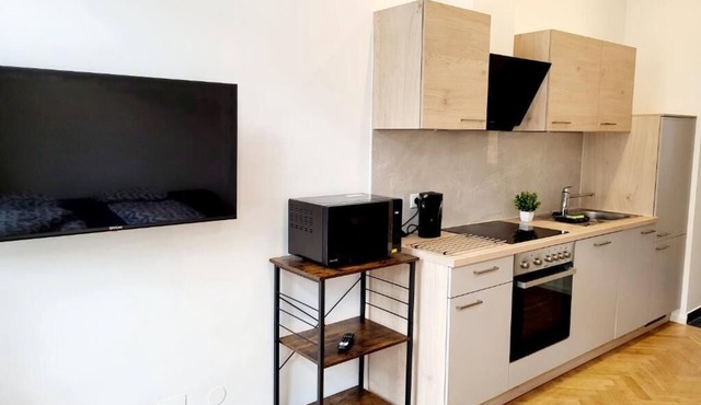 Kienmayer Apartment Vienna