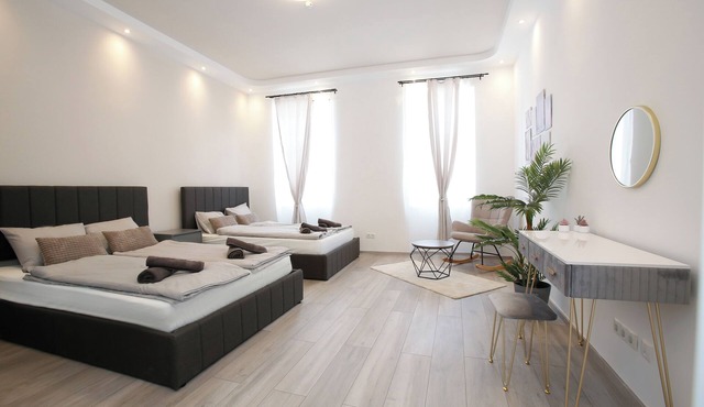 LUX Prime Suite Vienna with FREE parking and FAST Internet 600 MBits