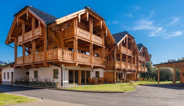 Luxurious apartment with sauna near Mauterndorf