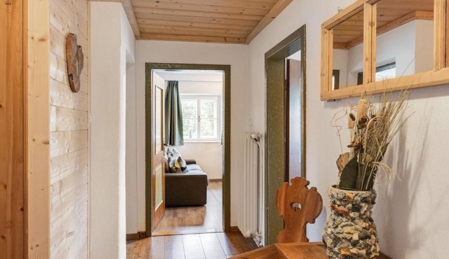 Luxurious Apartment in Mittersill near Ski Area