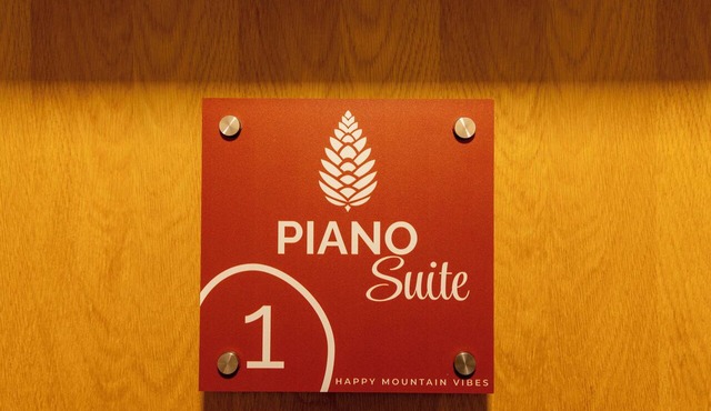 Piano Suite #1, cozy apartment, mountain view, balcony, parking,