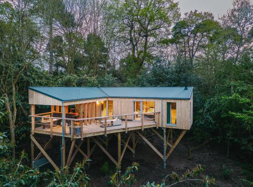 RewildThings Treehouses in Gloucester