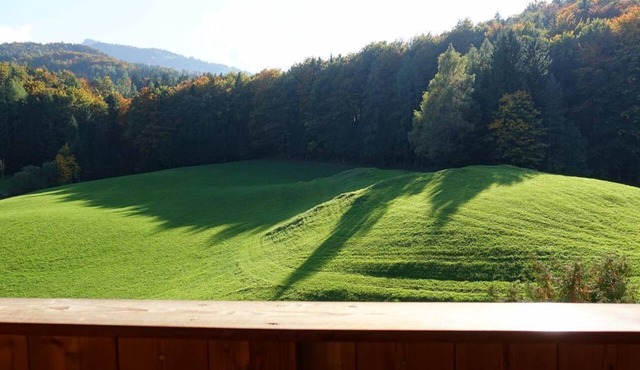 Schafbergblick Apartment - A Vacation in the Countryside