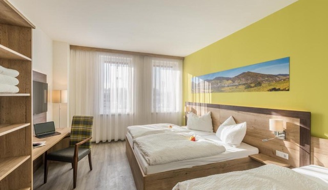 Sleepin Premium Motel Loosdorf