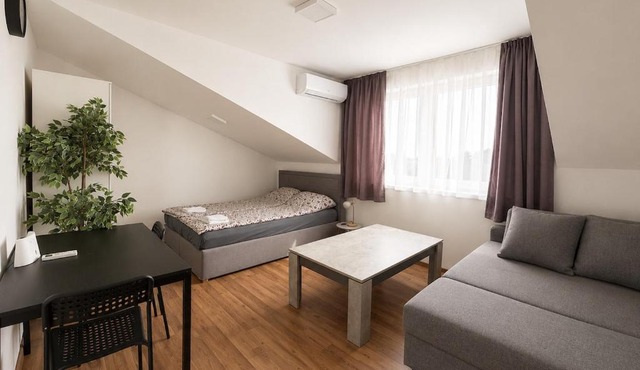 Spacious apartment close to Vienna in a calm area