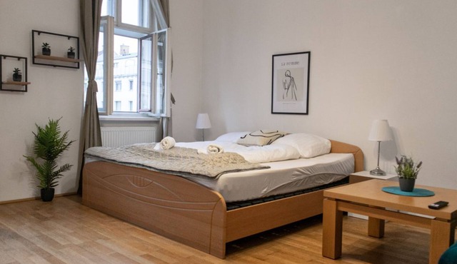 Spacious 2BR Apt.-Near Wiener Stadthalle