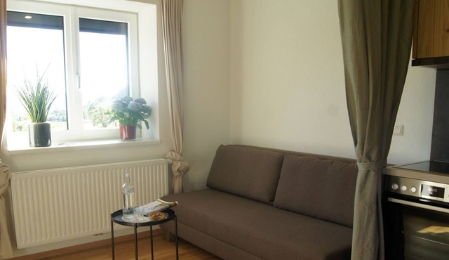 Vacation apartment Fernblick - Rindberger - Family Edtmayer