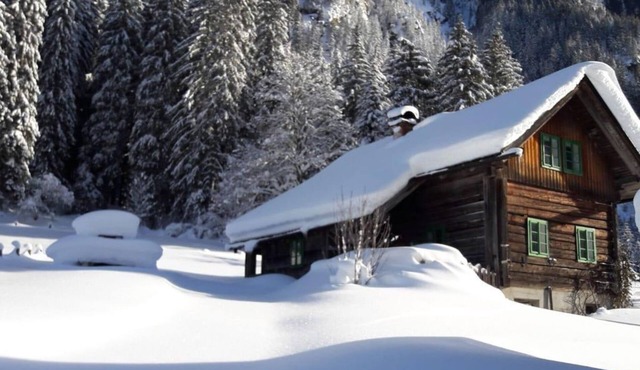 Waldhäuslhütte - vacation home/3 bedrooms/shower, WC