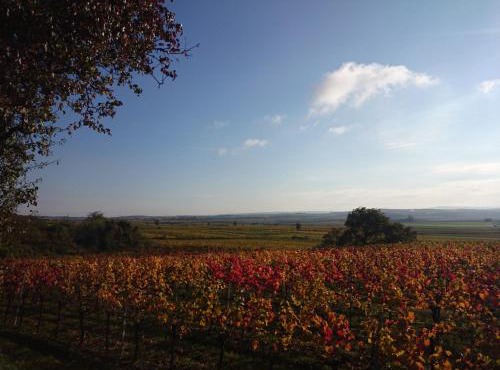 Weingut Wagner
