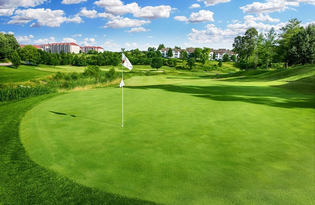 Wyndham Branson At The Meadows 