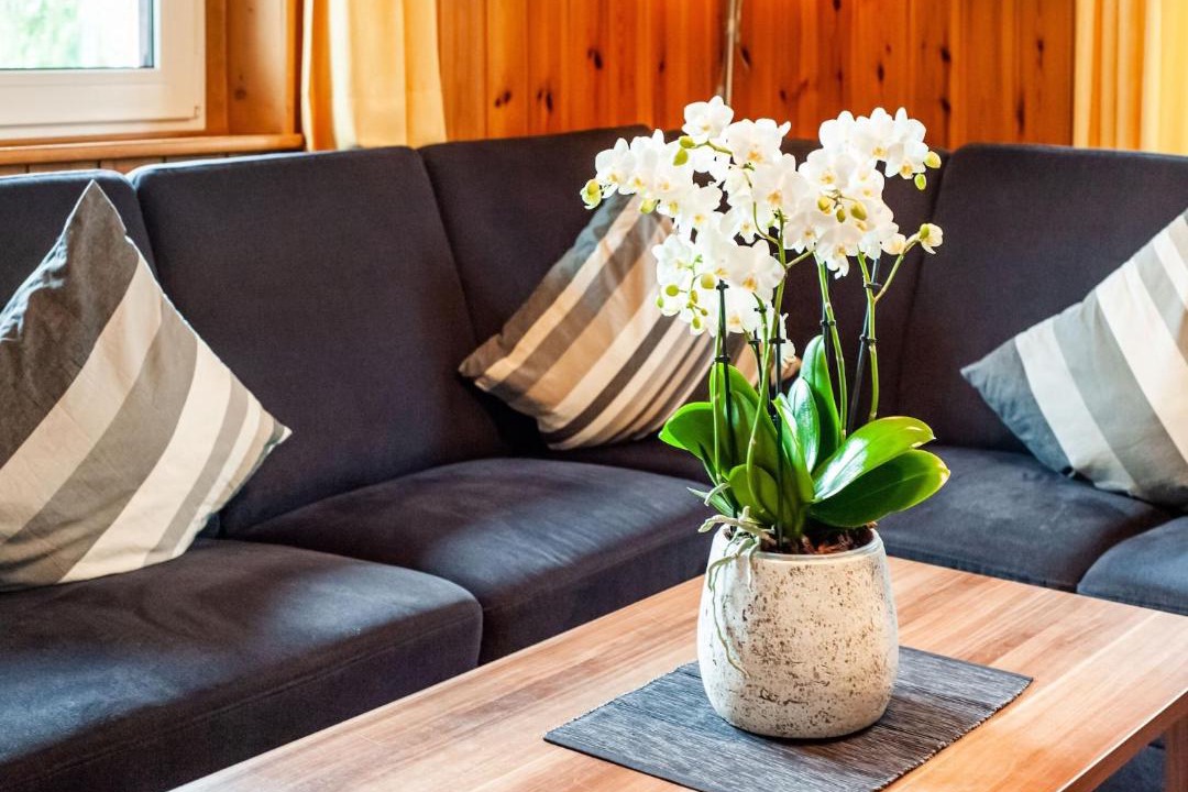 Sankt Gallenkirch House | Chalet in Montafon near Ski Lifts