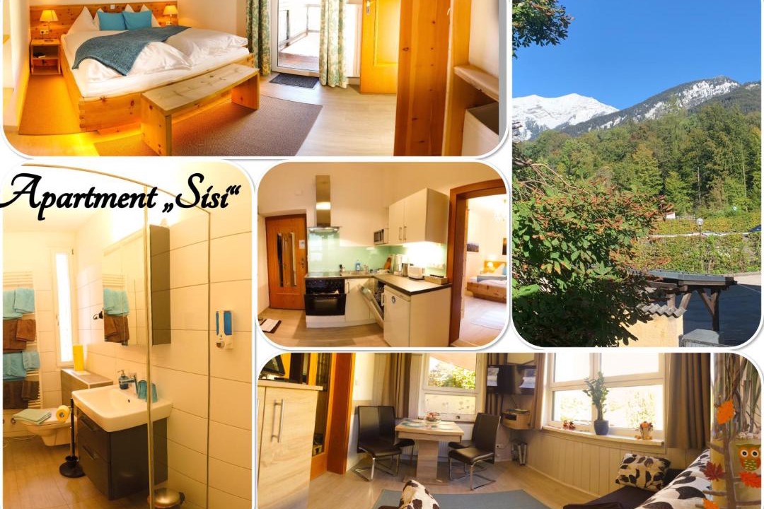 Bad Ischl Apartment | Apartment Haus Braumandl