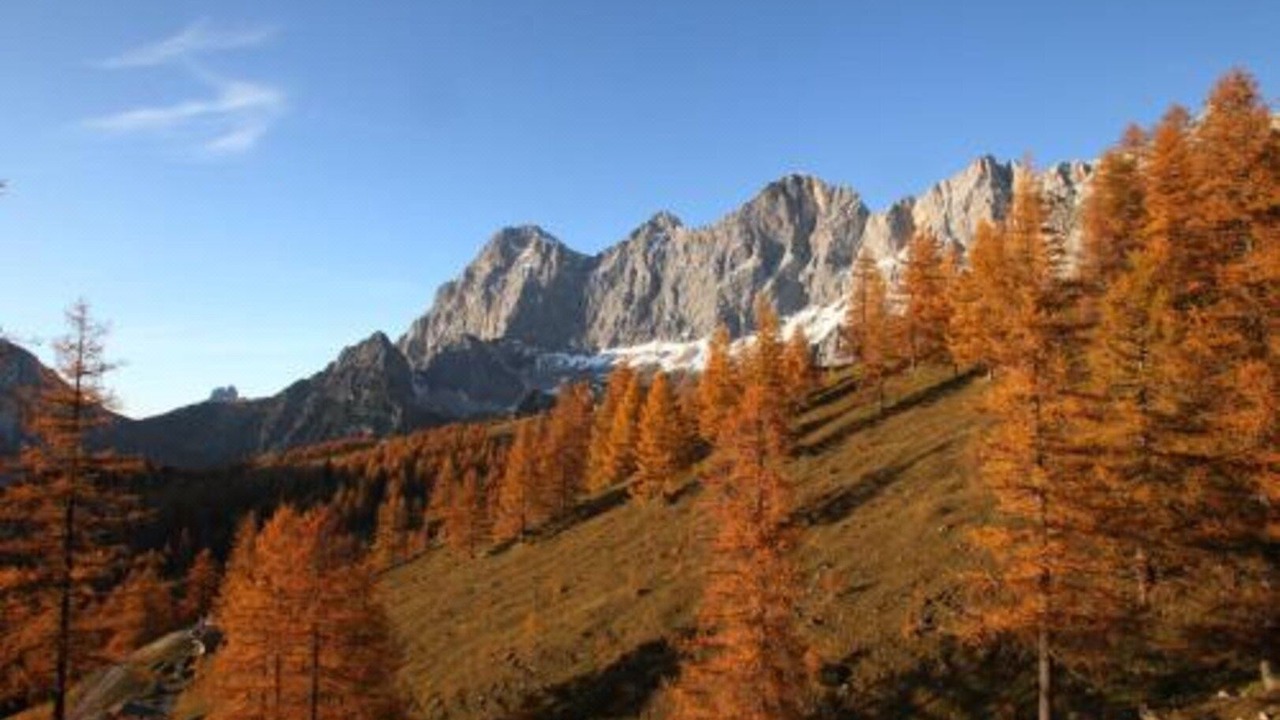 Photo of Others in Pichl-Preunegg