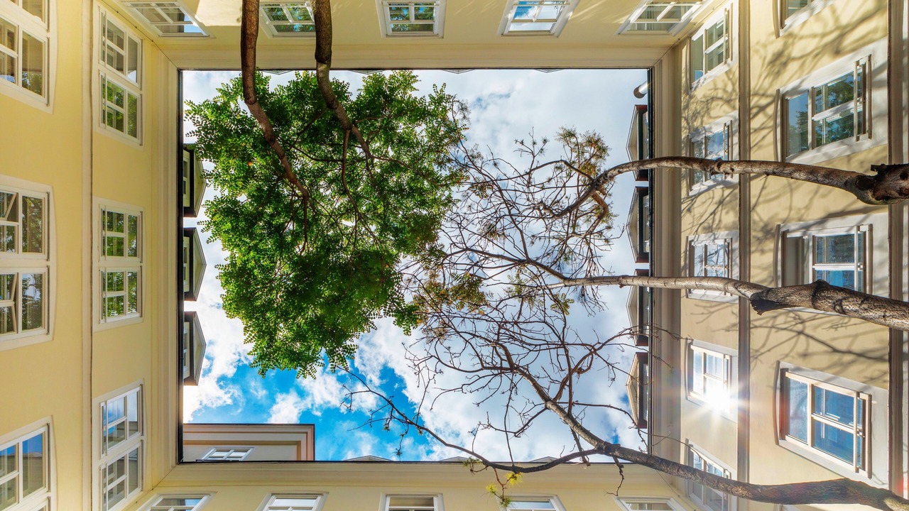 Photo of Outdoor in Josefstadt