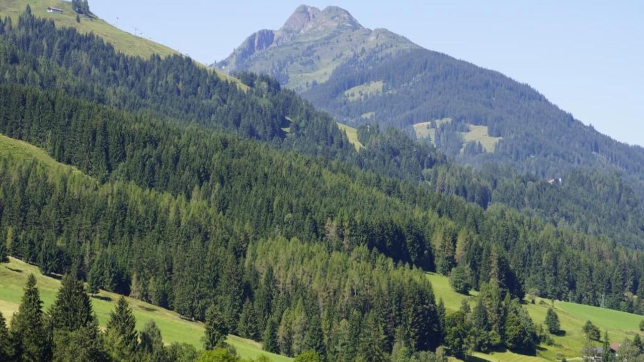 Photo of Others in Ullach