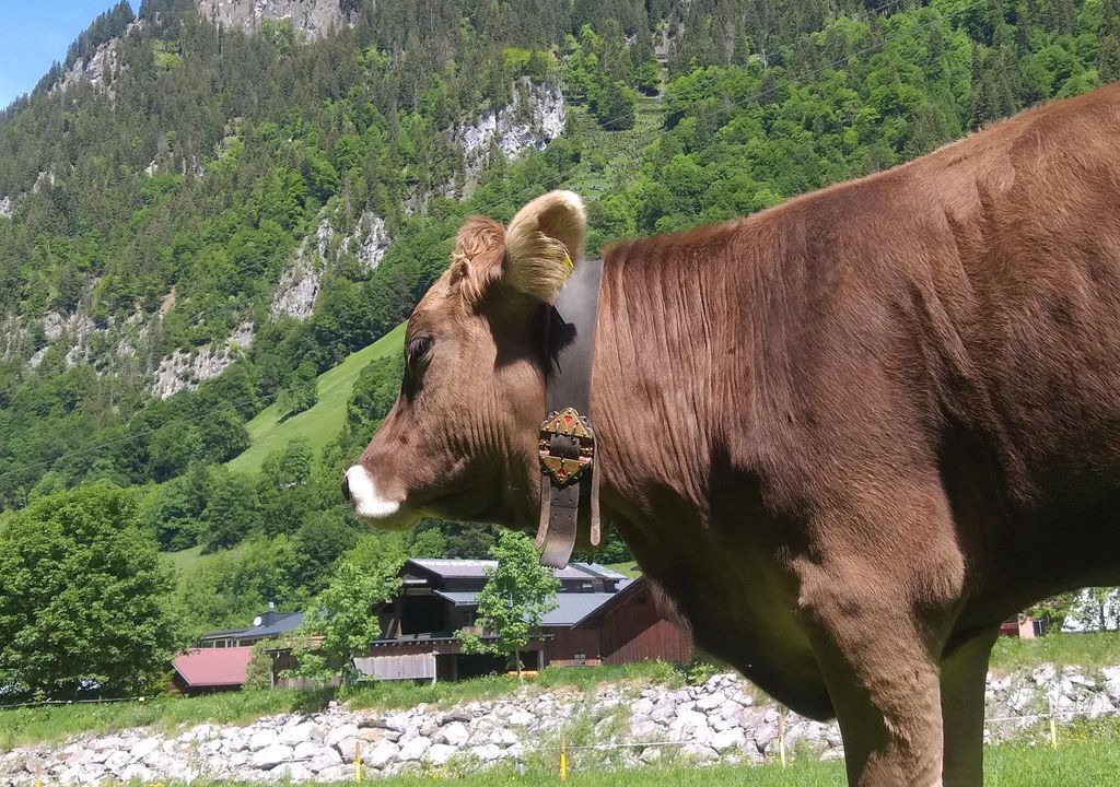 Photo of Others in Klosterle
