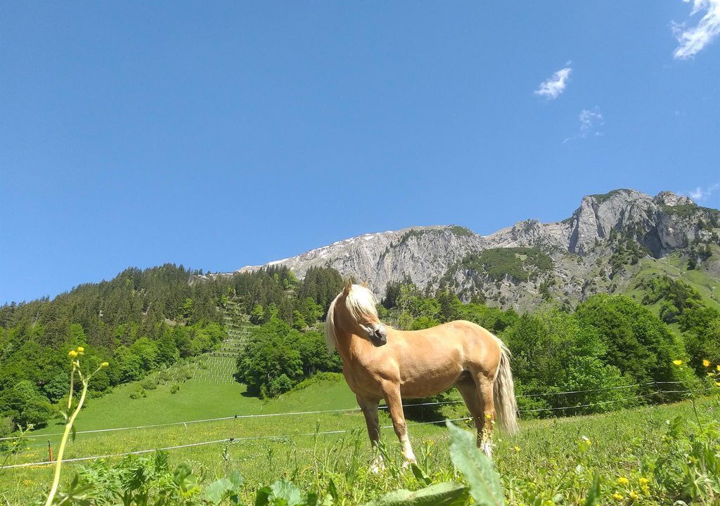 Photo of Others in Klosterle
