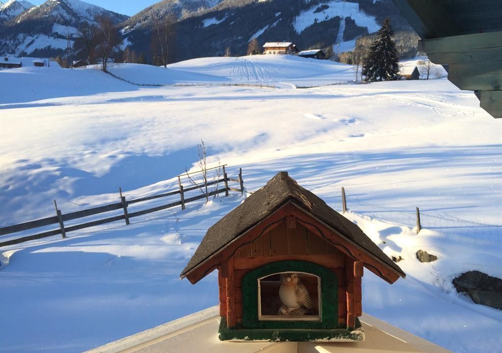 Photo of Others in Rohrmoos-Untertal