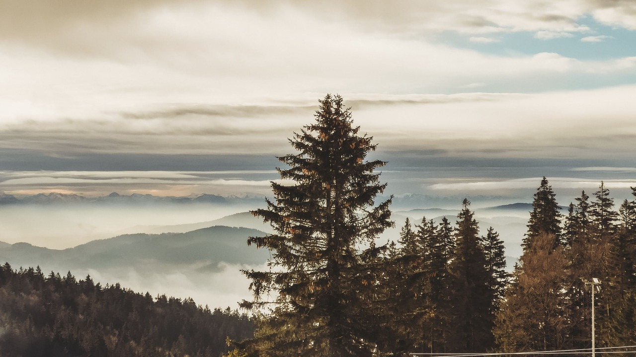 Photo of Others in Klaffer am Hochficht