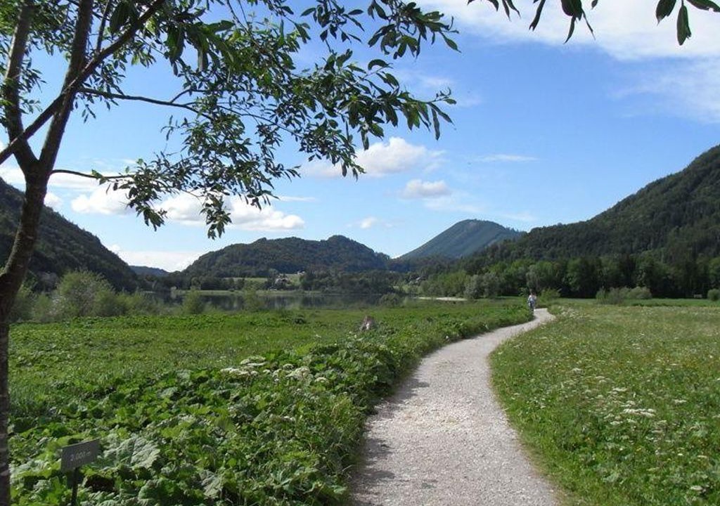 Photo of Others in Hintersee