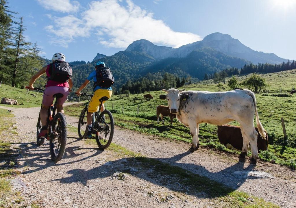 Photo of Others in Hintersee