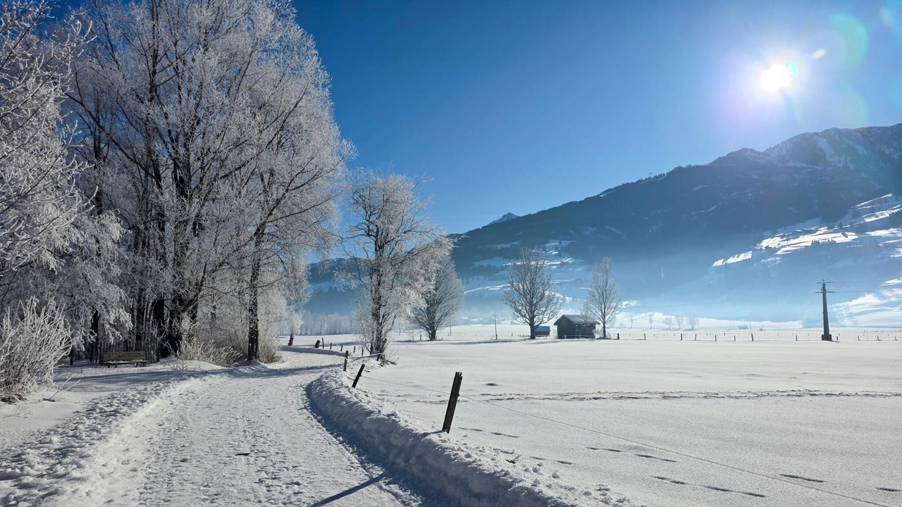 Photo of Others in Piesendorf