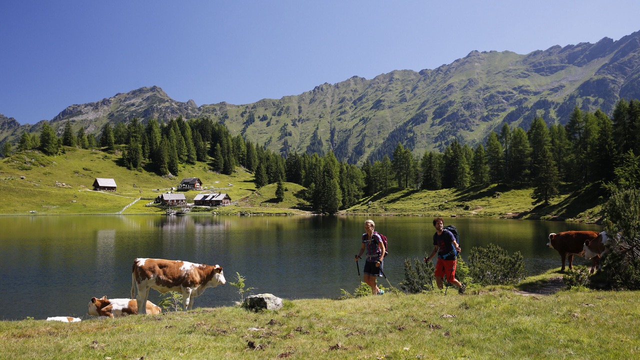 Photo of Others in Rohrmoos-Untertal