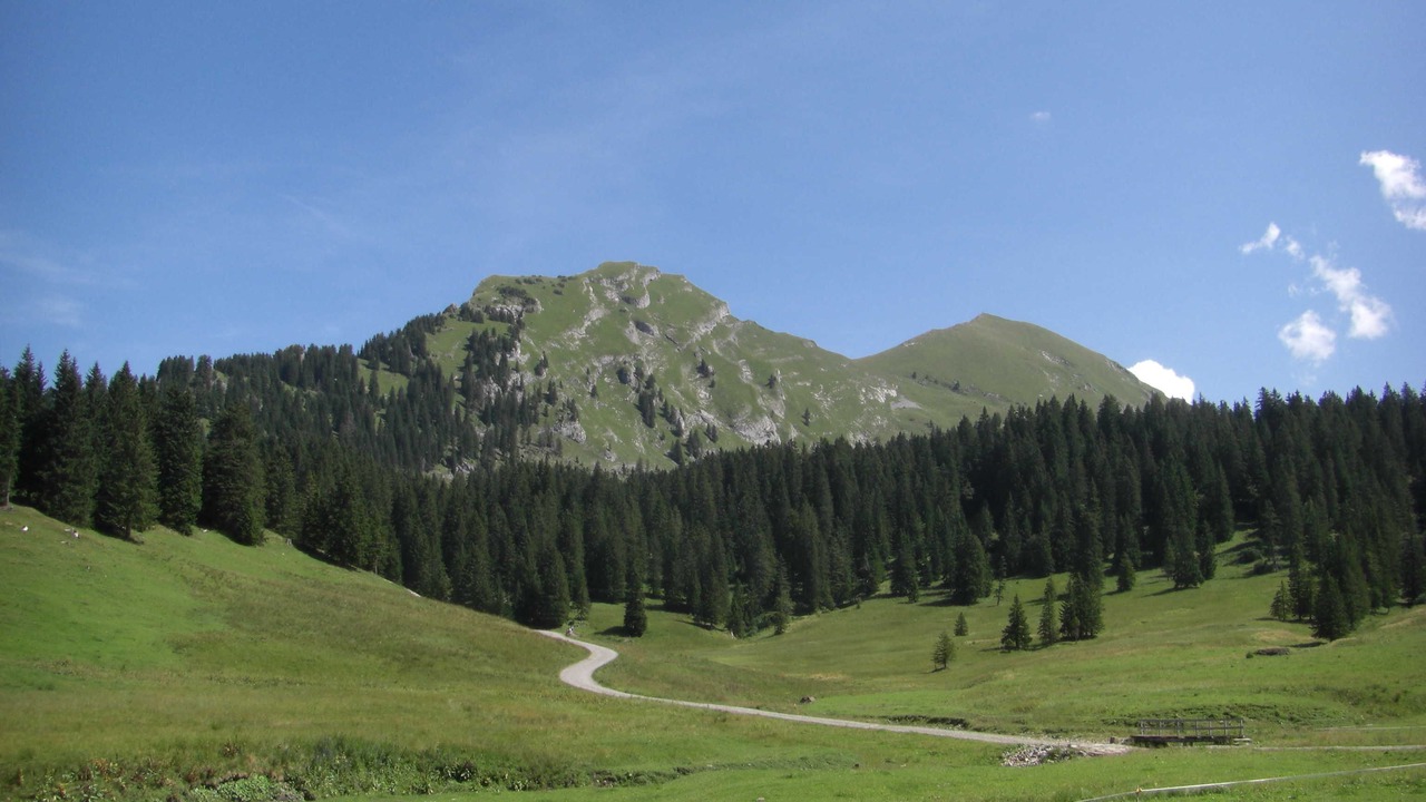 Photo of Others in Mellau