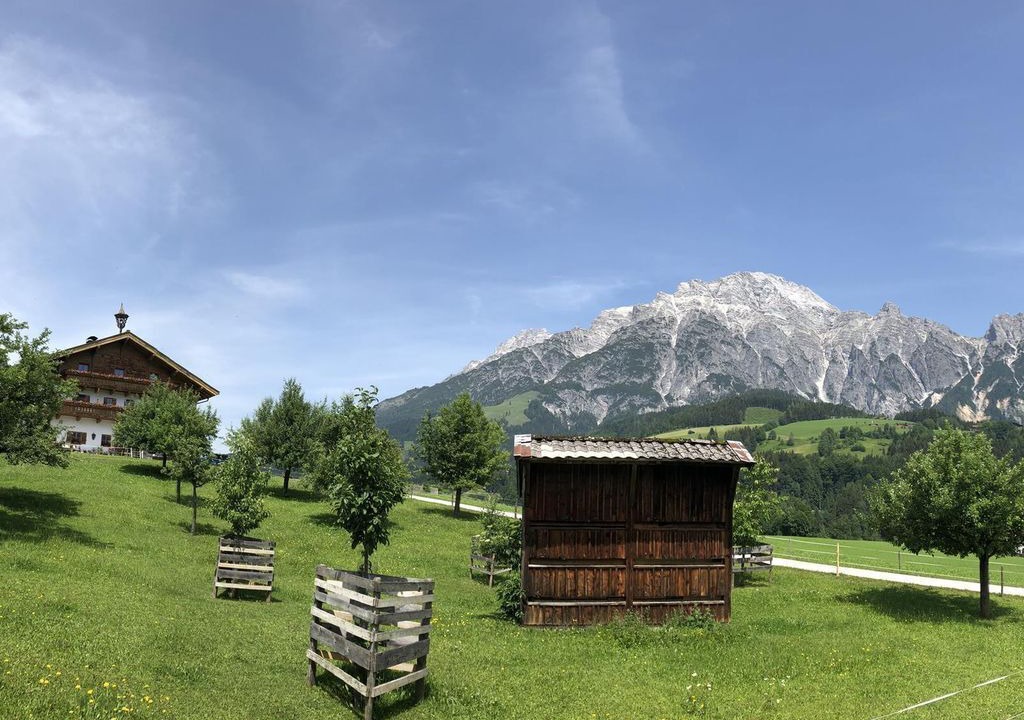 Photo of Others in Leogang
