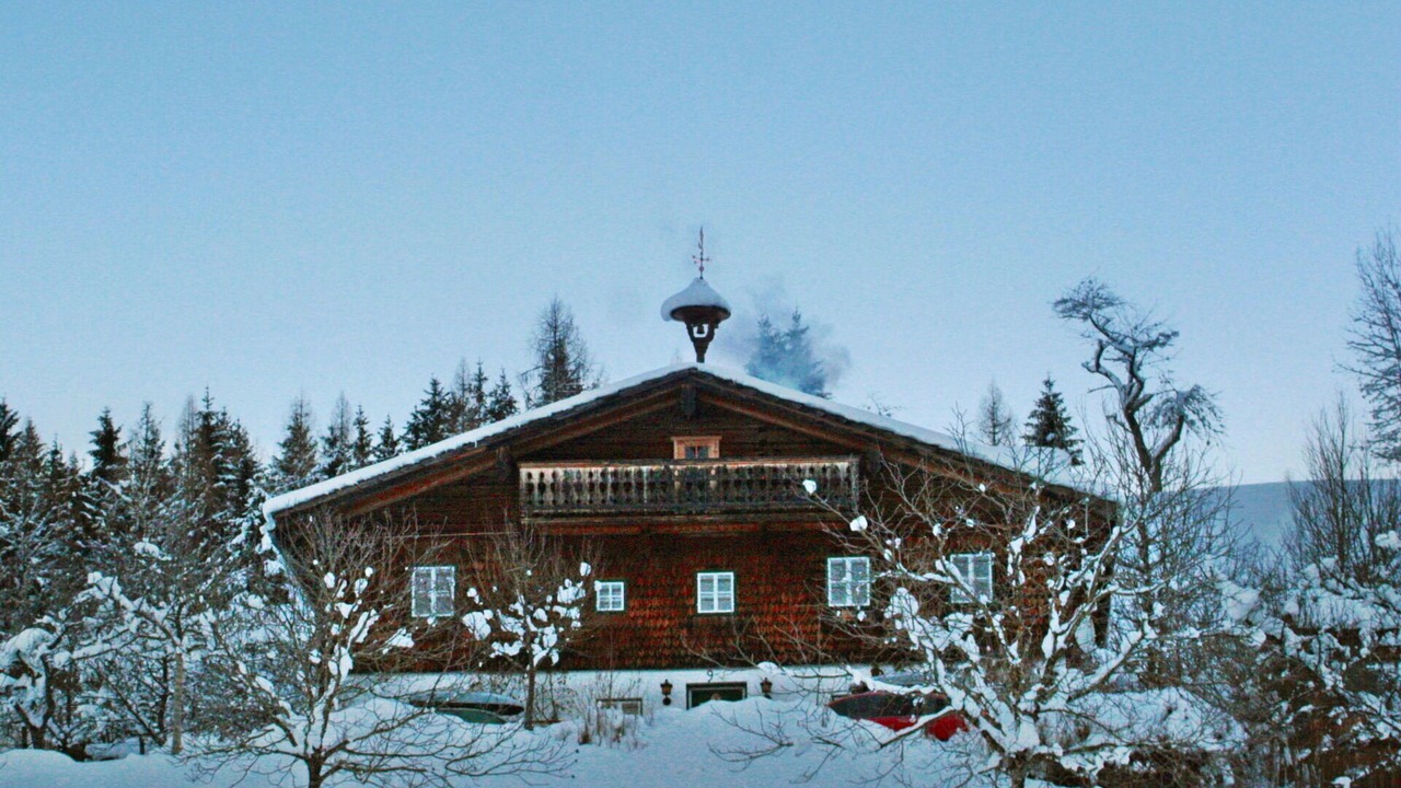 Photo of Others in Abtenau
