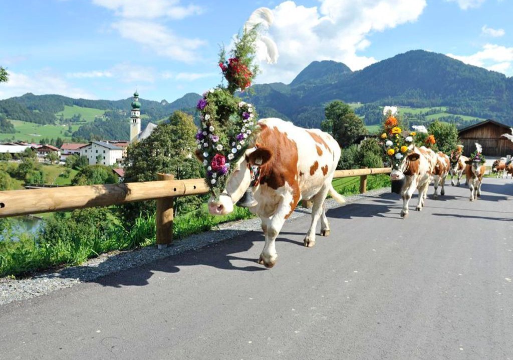 Photo of Others in Alpbach
